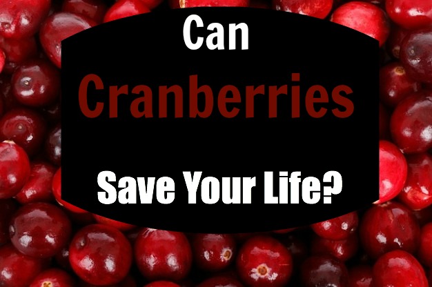 cranberries