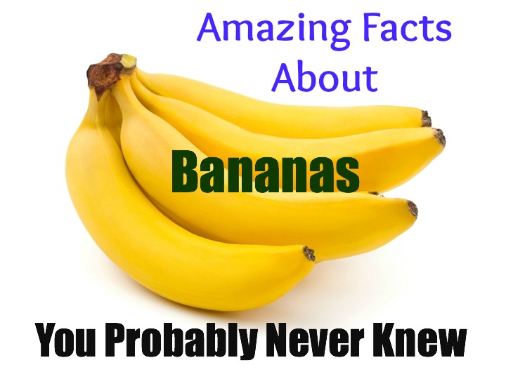 The 7 Most Interesting Facts About Bananas You Never vrogue.co