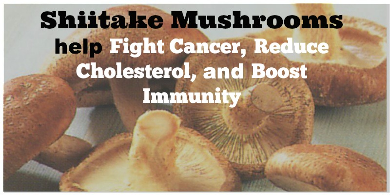 The Many Health Benefits of Shiitake Mushrooms