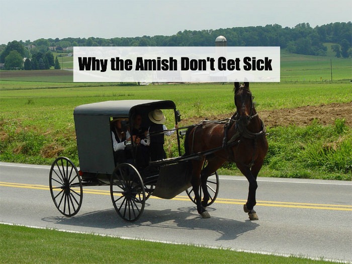 why-the-amish-don't-get-sick