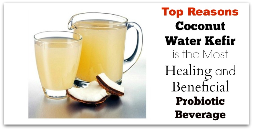 Top Reasons Coconut Water Kefir is the Most Healing and Beneficial Probiotic Beverage